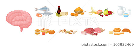 Good and Bad Food Category and Nutrition Group for Brain Function Vector Set Good and Bad Food Category and Nutrition Group for Brain Function Vector Set 105922469