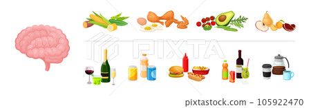 Good and Bad Food Category and Nutrition Group for Brain Function Vector Set Good and Bad Food Category and Nutrition Group for Brain Function Vector Set 105922470