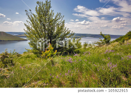 Bakota bay reservoir landscape on Dnister river, Ukraine. Bakota bay reservoir landscape on Dnister river, Ukraine. 105922915