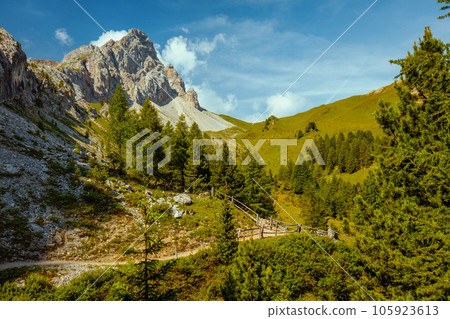 landscape with mountains, clouds, trees and trail 105923613