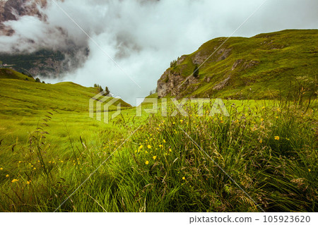 landscape with meadow and fog 105923620