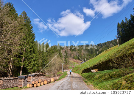 Mountain landscape in the Alps. Panoramic view of beautiful mountain landscape in the Bad Rippoldsau-Schapbach in the Black Forest, area near Burgbach Wasserfall, Baden-Wurttemberg, southern Germany. 105923737