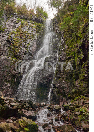 Waterfall in the forest, Burgbach waterfall near Schapbach, Black Forest, Baden-Wurttemberg, Germany Waterfall in the forest, Burgbach waterfall near Schapbach, Black Forest, Baden-Wurttemberg, Germany 105923741