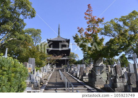 京都市左京區Konkai Komyoji Temple 三重塔黑谷 105923749
