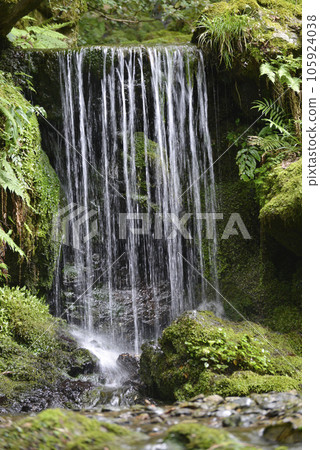 京都市左京區大原高知谷阿彌陀寺、實野瀑布參道側 105924038