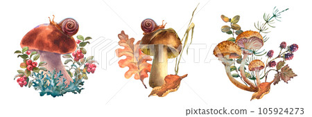 Set of compositios with mushrooms, Forest chanterelle mushrooms, porcini, honey mushroom with Cranberry bushes and autumn leaf. Watercolor hand drawn illustration. Isolated on a white background Set of compositios with mushrooms, Forest chanterelle mushrooms, porcini, honey mushroom with Cranberry bushes and autumn leaf. Watercolor hand drawn illustration. Isolated on a white background 105924273