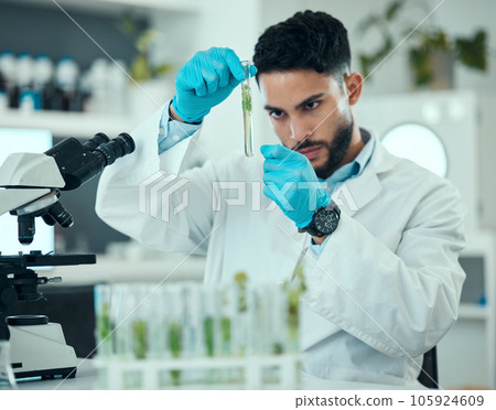 Science, plants and man with test tube in laboratory, research and nature engineering at microscope. Biotechnology, botany study and leaves in glass, scientist or lab technician checking solution. Science, plants and man with test tube in laboratory, research and nature engineering at microscope. Biotechnology, botany study and leaves in glass, scientist or lab technician checking solution. 105924609