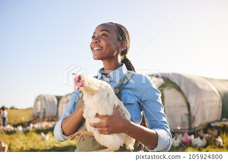 Farm, agriculture and black woman with chicken in field, countryside or nature for protein, growth or ecology. Agro business, sustainable farming and farmer and bird for free range poultry production Farm, agriculture and black woman with chicken in field, countryside or nature for protein, growth or ecology. Agro business, sustainable farming and farmer and bird for free range poultry production 105924800