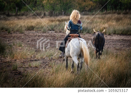 Landscape with bulls and guardians in Camargue 105925317