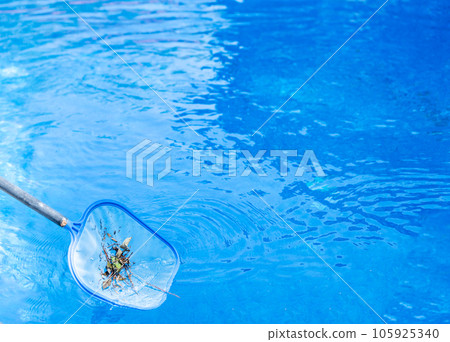 Using a pole skimmer to collect leaves out of a swimming pool 105925340