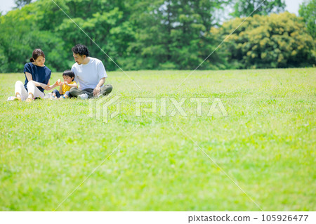 Family Lawn 105926477