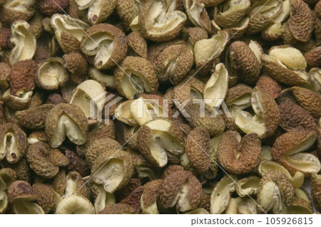 Sansho fruit Sansho fruit 105926815