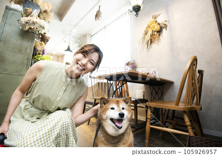 碼頭咖啡館年輕女子柴犬看著鏡頭 碼頭咖啡館年輕女子柴犬看著鏡頭 105926957
