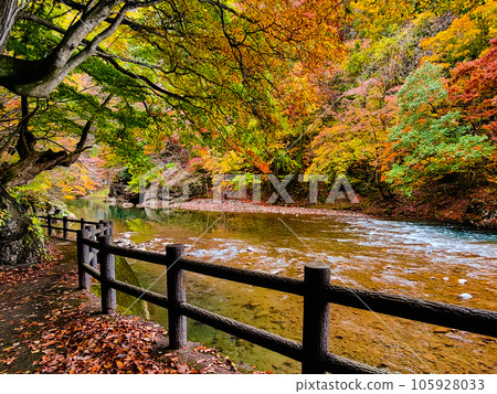 Yuze Valley (Autumn) 105928033