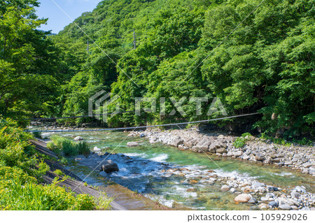 The Yubiso River flowing through the Yubiso hot spring town, Midsummer scenery, Minakami Town The Yubiso River flowing through the Yubiso hot spring town, Midsummer scenery, Minakami Town 105929026