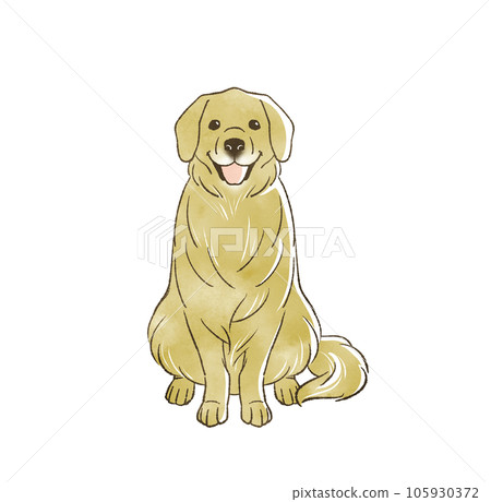坐著的金毛獵犬 105930372