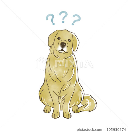 golden retriever tilting its head 105930374