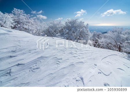 Mt. Gozaisho in winter [frost-covered trees and wind and snow patterns] 105930899