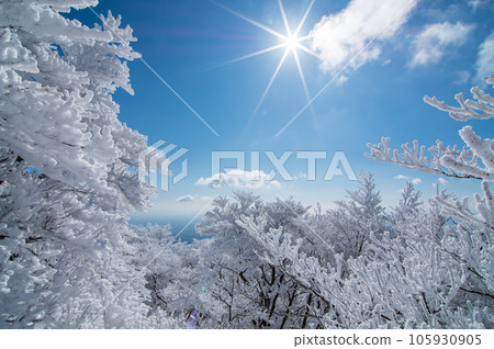 晴朗冬日的御在所山[閃閃發光的霜凍樹木] 105930905