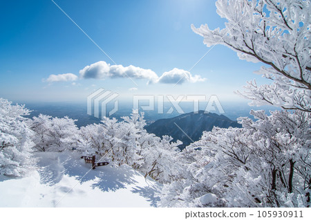 Winter Resort Gozaisho-dake, Mie Prefecture, Komono-cho [Winter artwork, frost-covered trees] 105930911