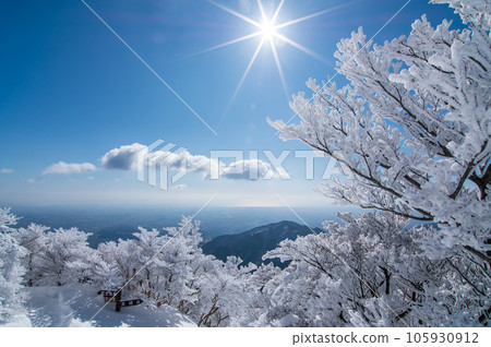 晴朗冬日的御在所山[閃閃發光的霜凍樹木] 105930912