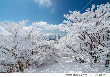 【雪山絕景】禦在所山、釜岳的樹木被雪覆蓋 105930946