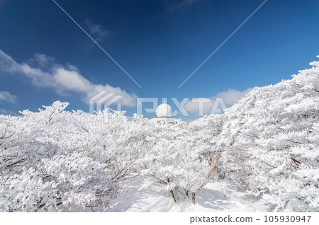 冬天的御在所岳三條公園[樹木結霜、雨量雷達] 105930947