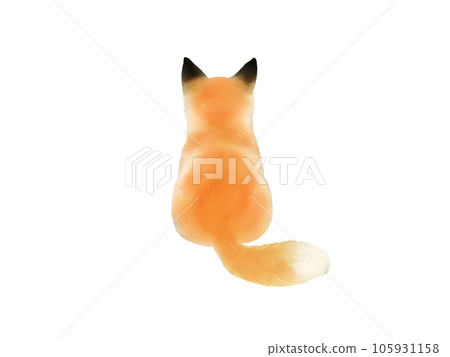 Back view of a sitting baby fox 105931158