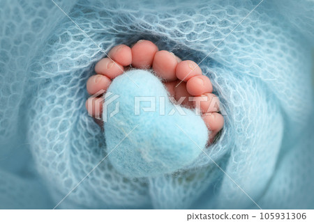 The tiny foot of a newborn baby. Soft feet of a new born in a wool blue blanket. Closeup of toes, heels and feet of a newborn. Knitted blue heart in the legs of baby. Macro studio photography.  105931306