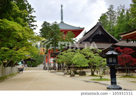 Wakayama Prefecture Koyasan Danjo Garan approach and fresh greenery Wakayama Prefecture Koyasan Danjo Garan approach and fresh greenery 105931531