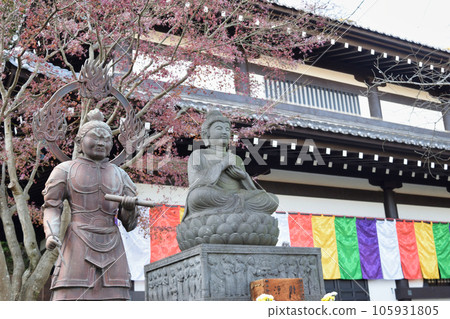 Kamakura Hasekoji 105931805