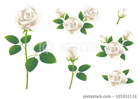白玫瑰花圖集圖標集 105932118