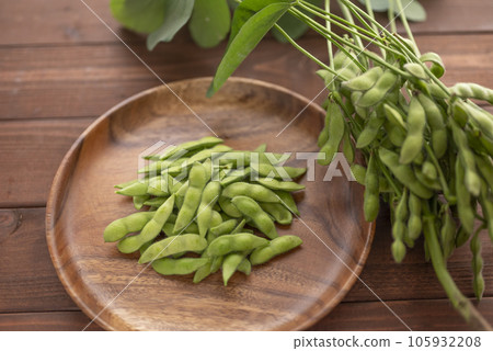 夏季美味的毛豆 夏季美味的毛豆 105932208