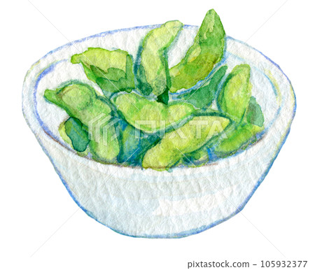 Freshly boiled edamame watercolor illustration 105932377