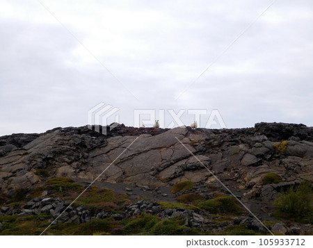 冰島夏季 Glittergau 冰島羊 冰島夏季 Glittergau 冰島羊 105933712
