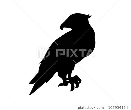 Silhouette illustration of a standing hawk Silhouette illustration of a standing hawk 105934154