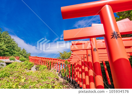 (Tsugaru City, Aomori Prefecture) Takayama Inari Shrine Senbon Torii 105934576