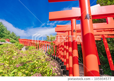 (Tsugaru City, Aomori Prefecture) Takayama Inari Shrine Senbon Torii 105934577