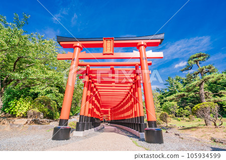 (Tsugaru City, Aomori Prefecture) Takayama Inari Shrine Senbon Torii 105934599