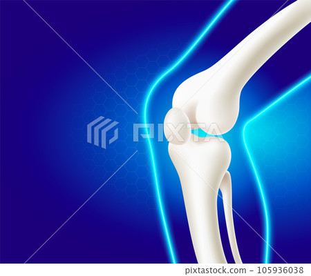 Leg bone and knee joint, side view medical use Leg bone and knee joint, side view medical use 105936038