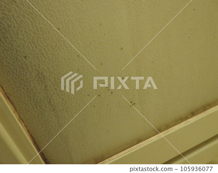 Mold, mold on the door, mold on the door, mold on the door, mold on the bathroom door, mold on the frosted glass door 105936077