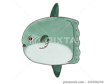 曼博簡單材料 105936250