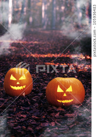 Halloween Jack o'lantern pumpkin in a spooky forest at night. Halloween holiday background. Halloween Jack o'lantern pumpkin in a spooky forest at night. Halloween holiday background. 105936483