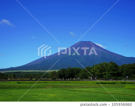 夏季的富士山和山腳下蔓延的新綠田野 8 月風景富士山 563 田野 H4.3 105936860