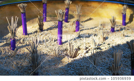 豐川稻荷東京別院風景 105936939