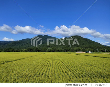 Sightseeing in Yuzawa City, Akita Prefecture Sightseeing in Yuzawa City, Akita Prefecture 105936988