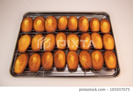 Delicious madeleine cake on on a rack after baking 105937075