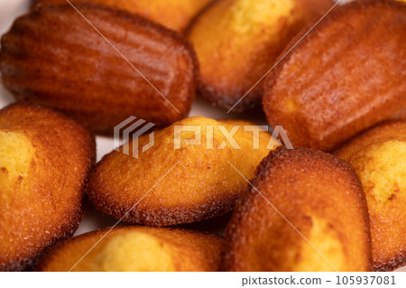 Delicious madeleine cake on white background 105937081