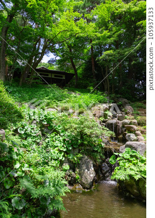 殿之谷庭園次郎弁天池 殿之谷庭園次郎弁天池 105937133