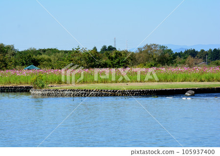 I went to Kinu Green Park #58 I went to Kinu Green Park #58 105937400
